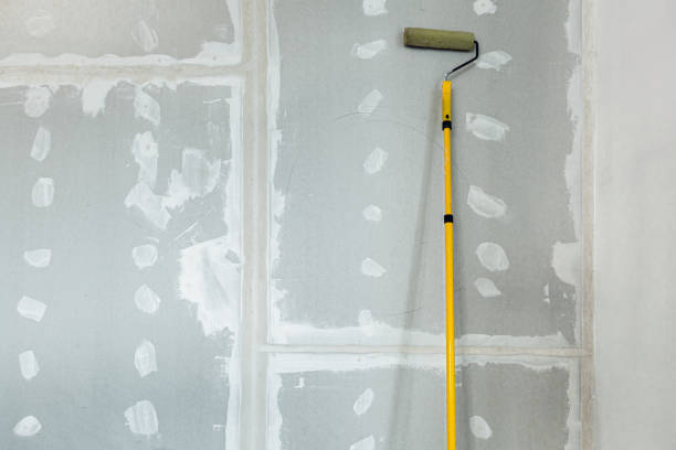 Professional Mold Removal in Perry Park, CO