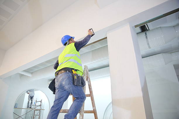 Best Mold Prevention Services  in Perry Park, CO