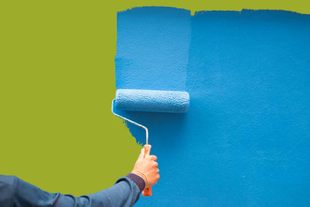 Best Basement Mold Removal  in Perry Park, CO